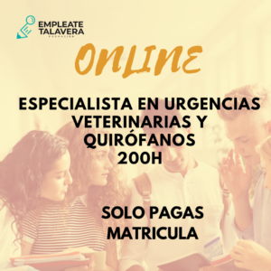 ESPECIALISTA EN URGENCIAS VETERINARIAS Y QUIRÓFANOS