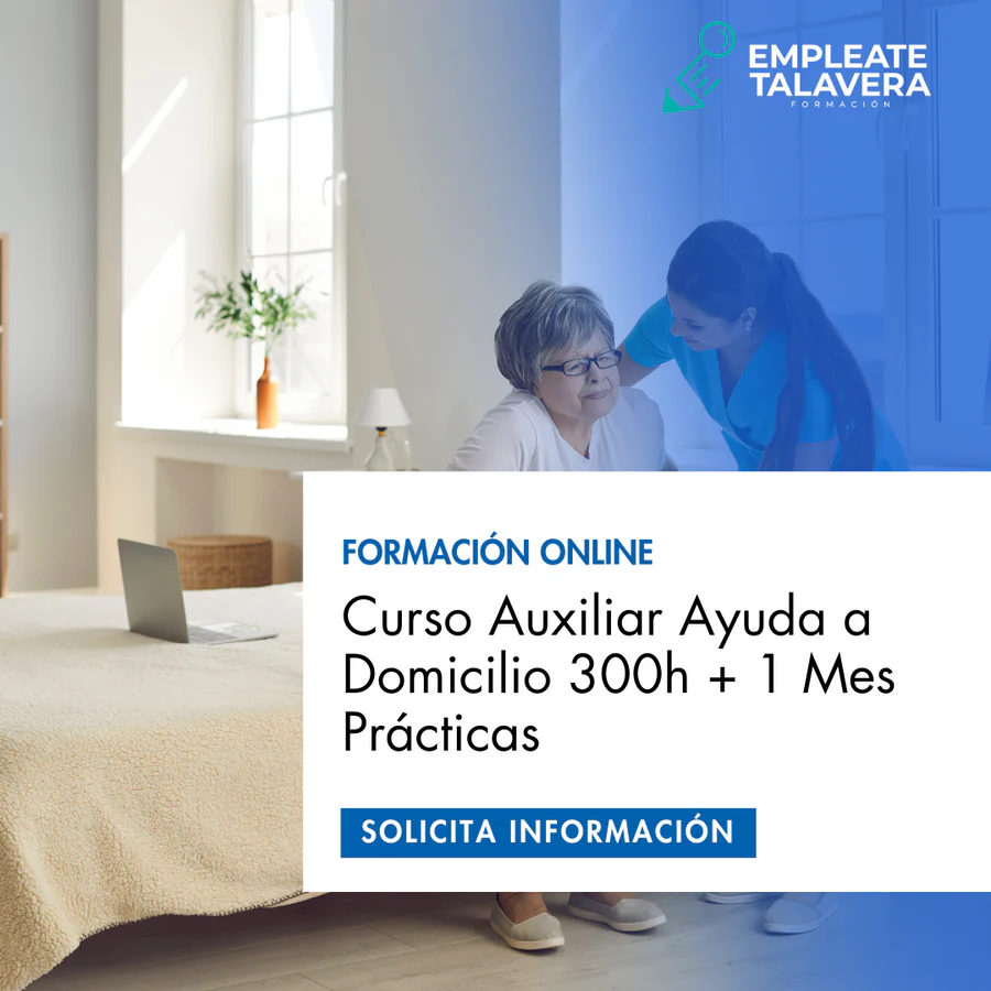 AUXILIAR AYUDA A DOMICILIO 300H