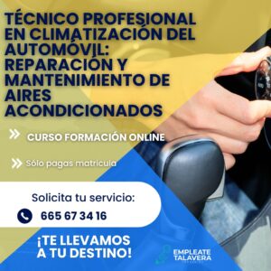 Técnico profesional en climatización del automovil: Reparación y mantenimiento de aires acondicionados