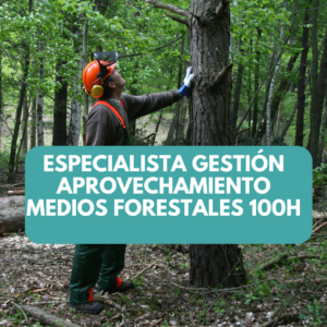 Especialista en Gestión de los aprovechamientos del medio forestal 100h